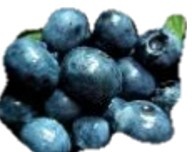 Blueberries nutritional information