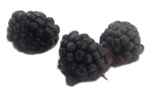 Boysenberries nutritional information