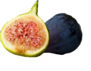 Figs nutritional information